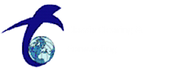 Classic Clearing & Forwarding 